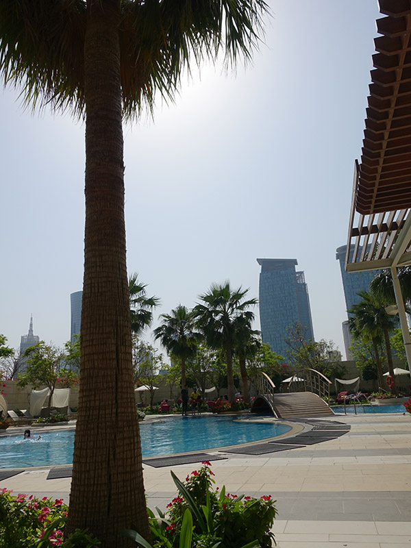 Palmier et piscine au Shengri-La Doha