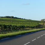 petites routes sinueuses en charente maritime