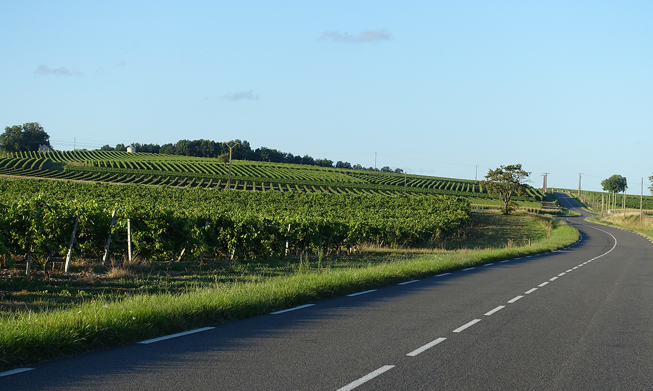 petites routes sinueuses en charente maritime