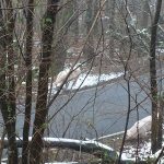 croiser des cochons sur la route