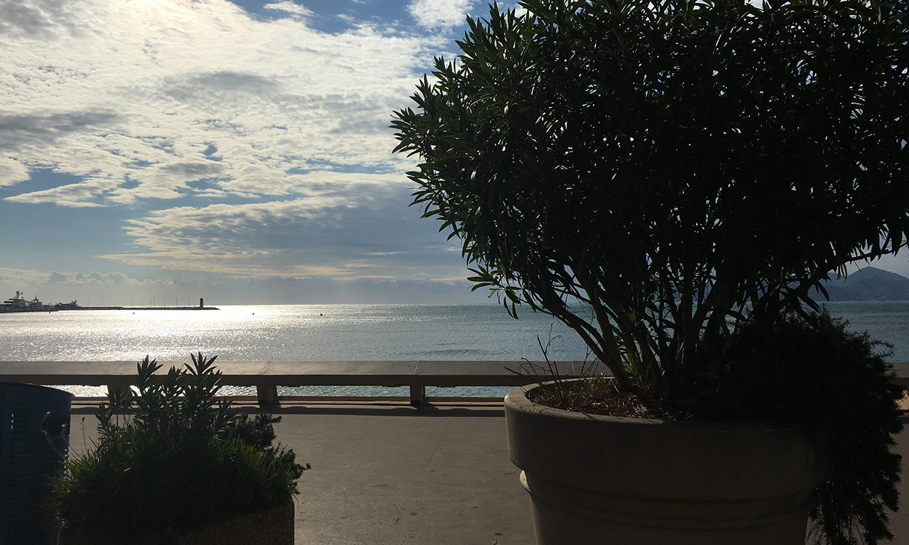 ambiance bord de mer à Cannes