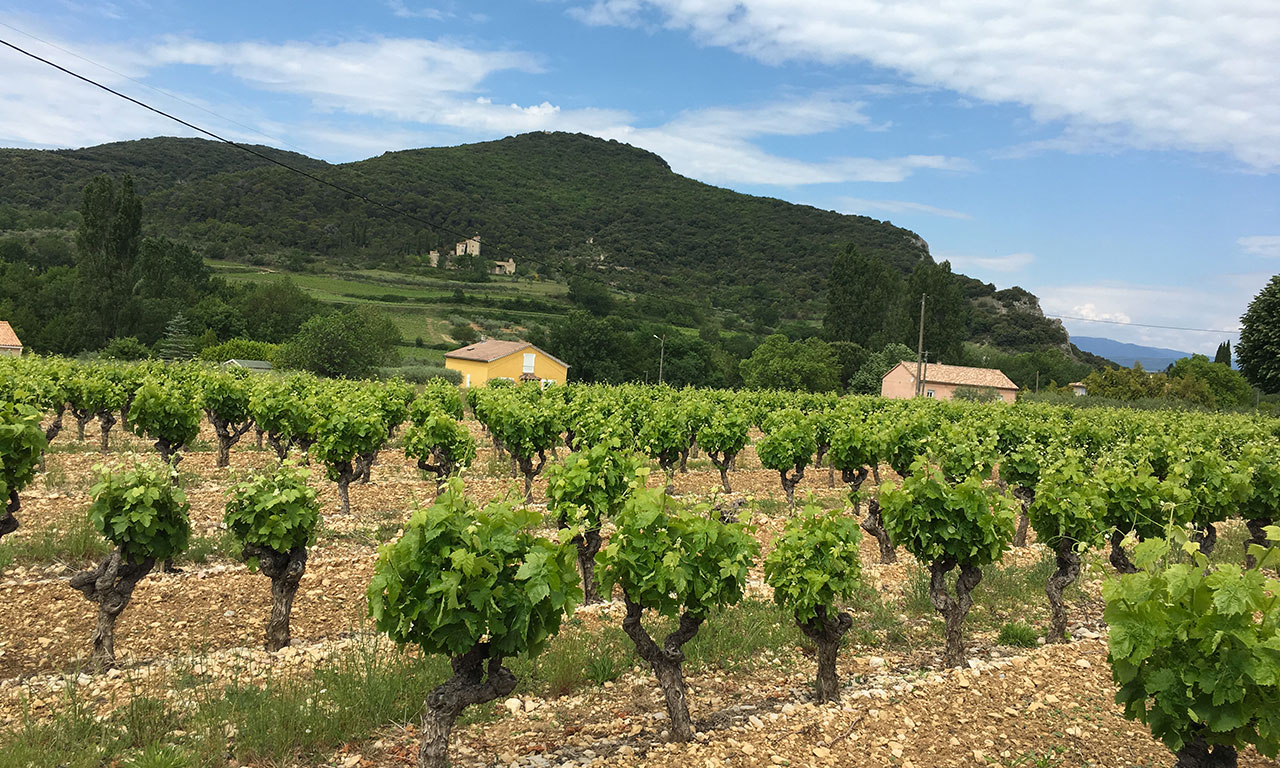 Paysage au coeur de l'Ardèche à Saint Sauveur de Cruzieres