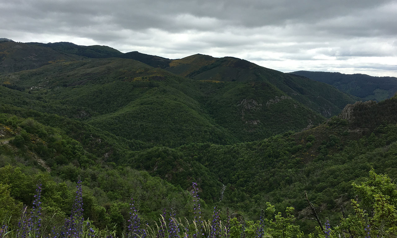 Découvrir les Cévennes à moto