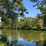 La campagne au bord de l'eau