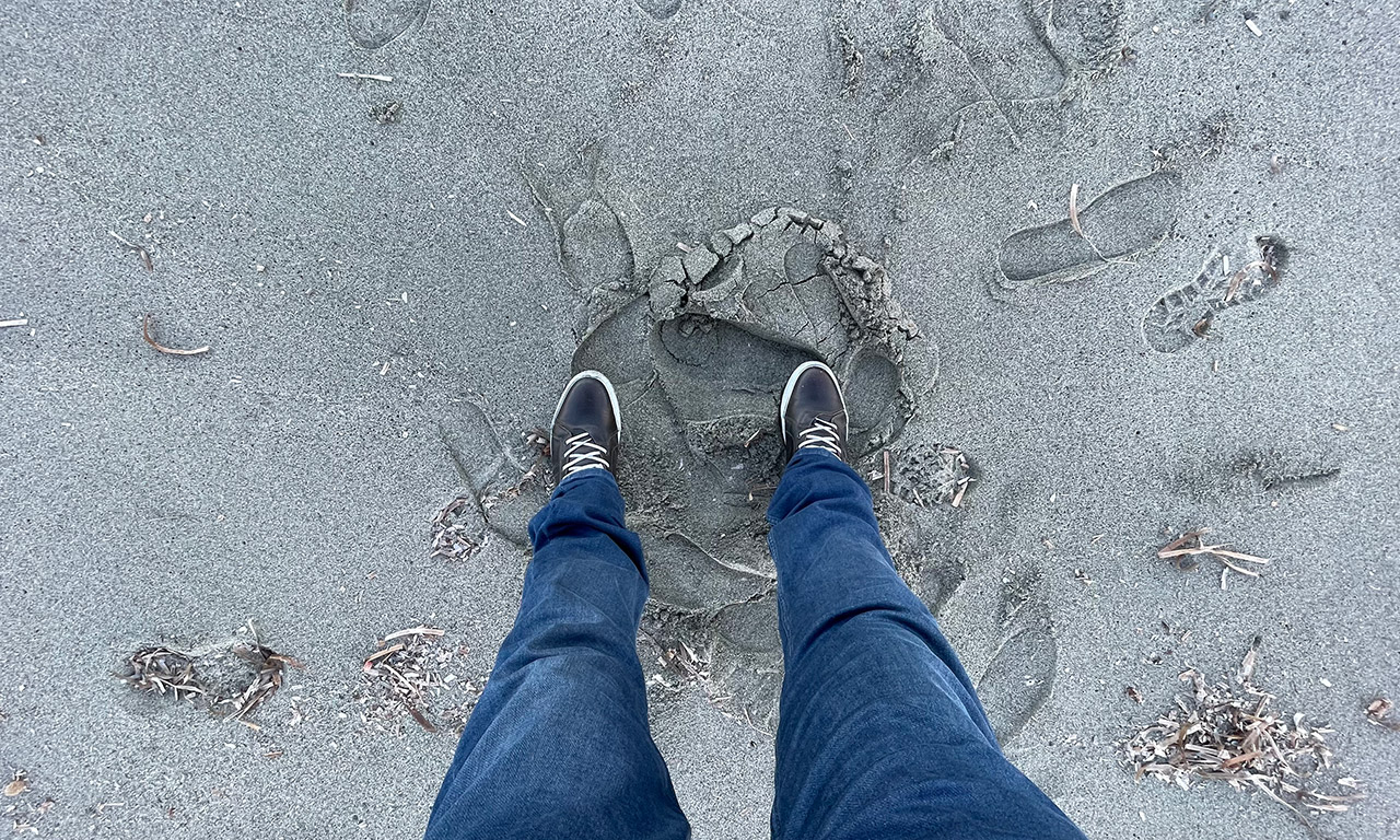 les pieds dans le sable, en Corse