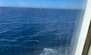 en mer à bord d'un navire Corsica Ferries