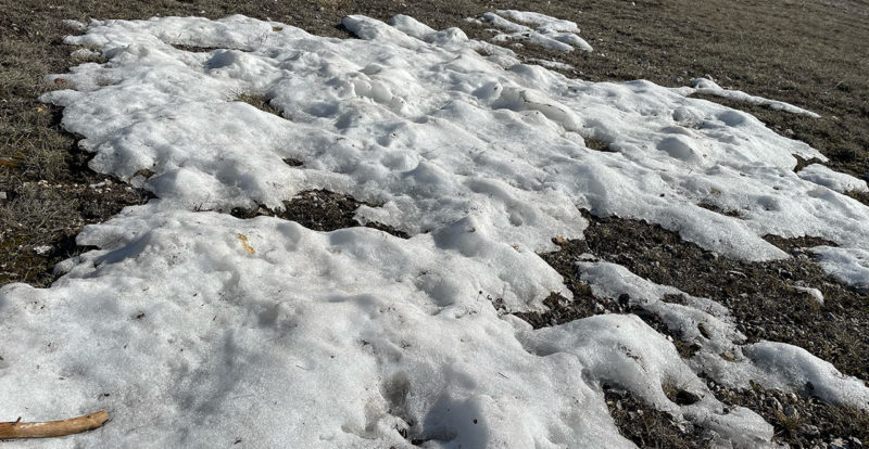 un peu de neige encore à Gréolières