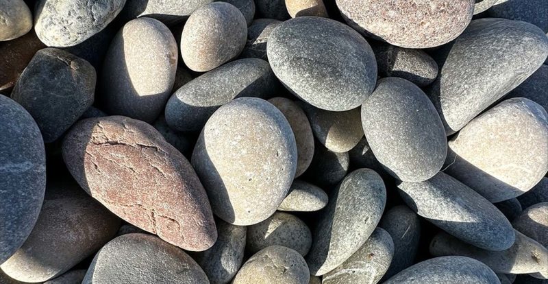 Galet sur la plage des Groules (Antibes)