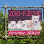 Zoo de la flèche