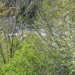 Port de Dinan avec la CASIM 35