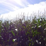 Ciel bleu le 17 août 2012 à Rennes