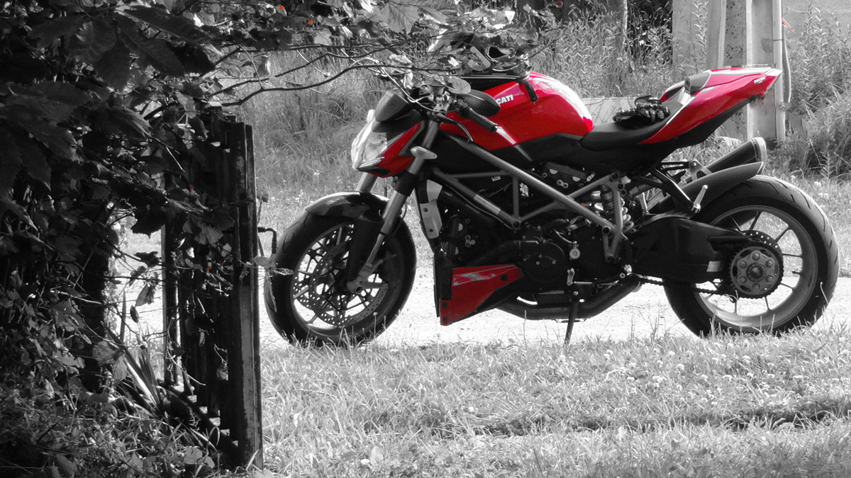 le rouge en couleur dominante