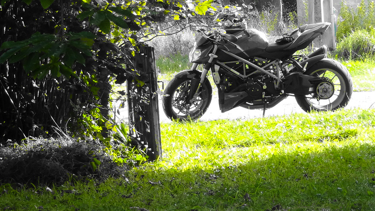 selection de couleur auto : vert