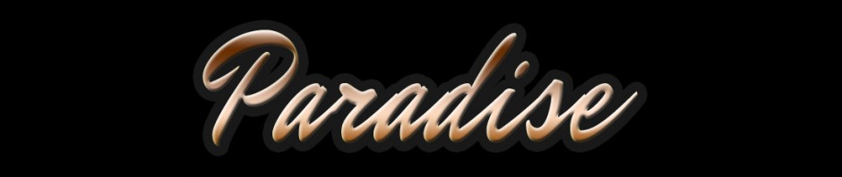 Mixe de David Jazt intitulé Paradise