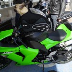 Balader son chien à moto (sportive)