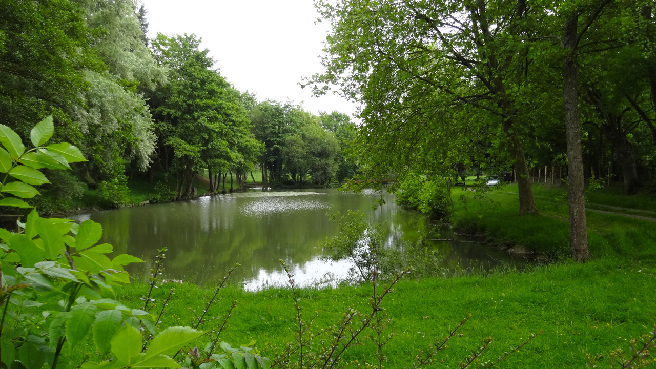 Etang pour la pêche à Changé près de Laval