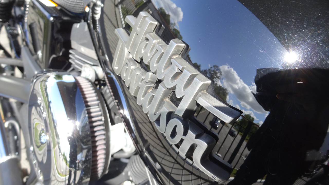 logo harley davidson street bob