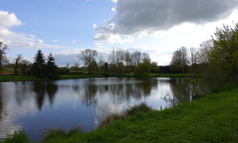 Etang de Melesse