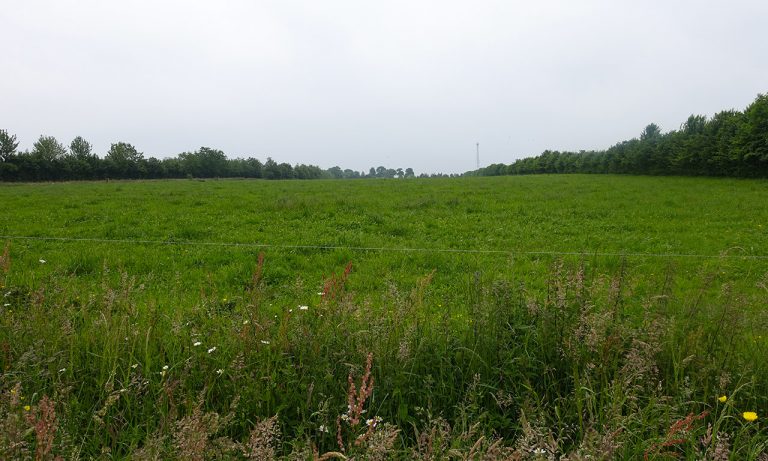 vue campagne et champ