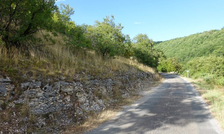 Petite route : merci le GPS