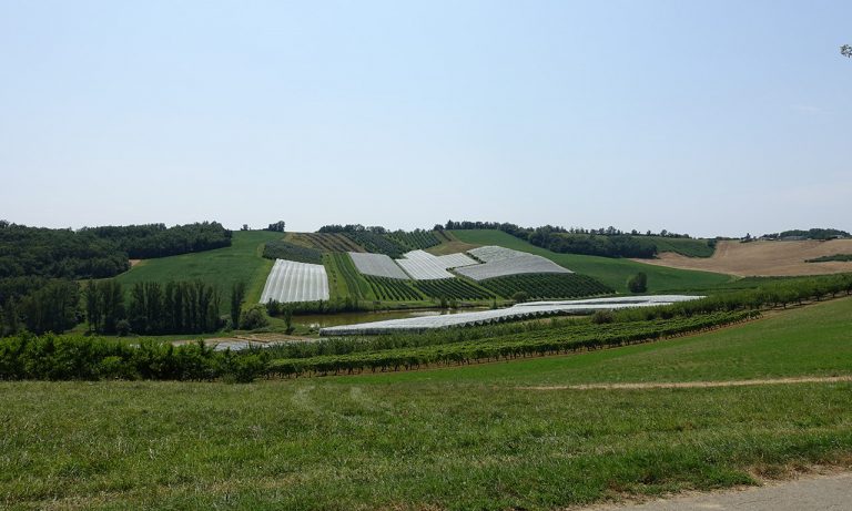 agriculture française