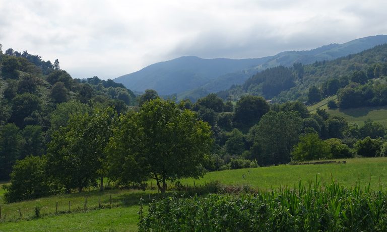 les montagnes des Pyrénées