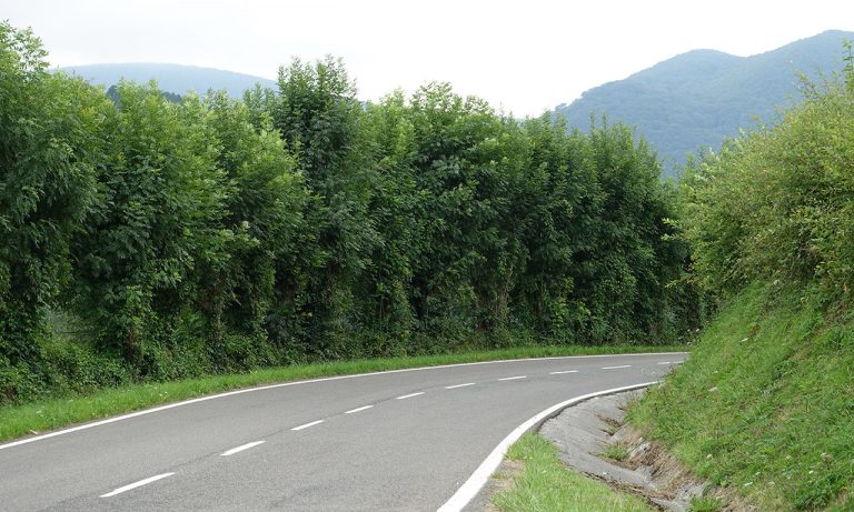 route sinueuse