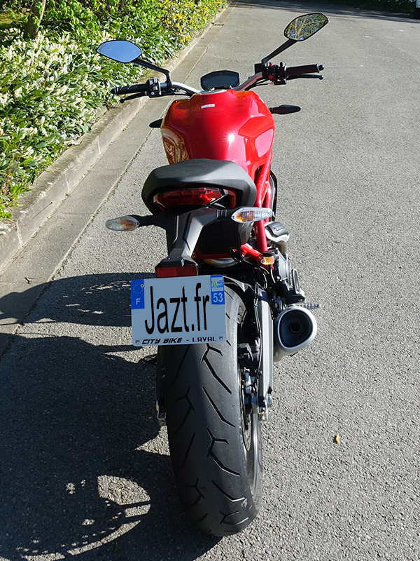 Monster 797