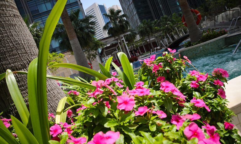 flowers Shangri-La Doha Hotel