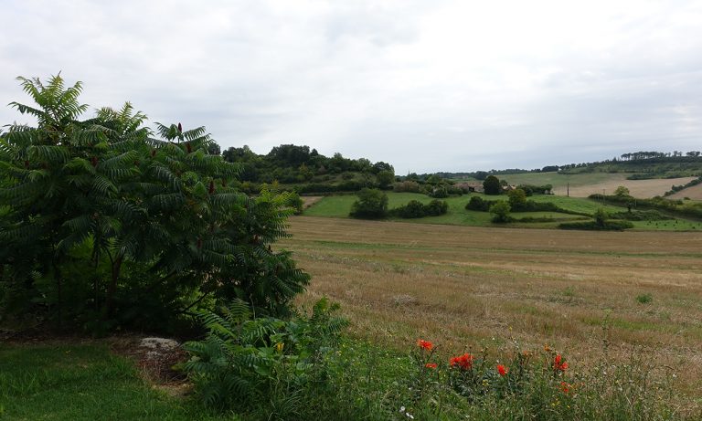 campagne du Périgord, c'est magnifique
