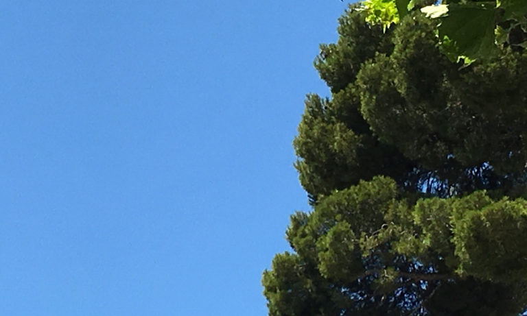 Magnifique ciel bleu de la côte d'azur