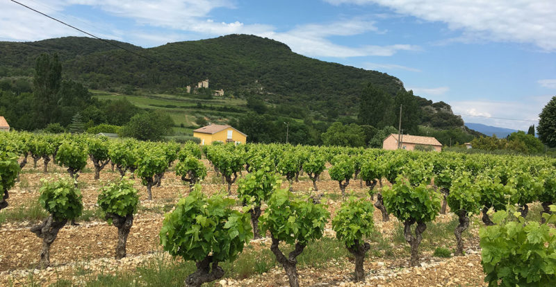CR 25 mai : tour de moto avec les motards Rennais