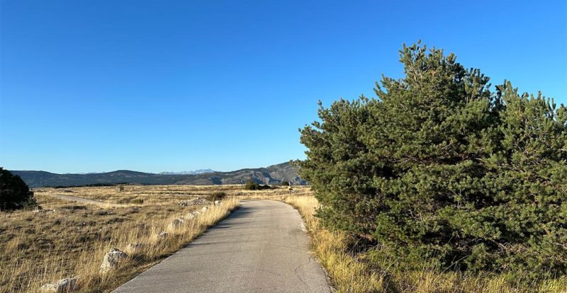 Route derrière le point de contrôle du plateau de Caussols