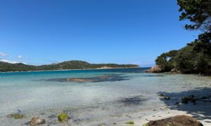 Plage de Rondinara (mai 2025)