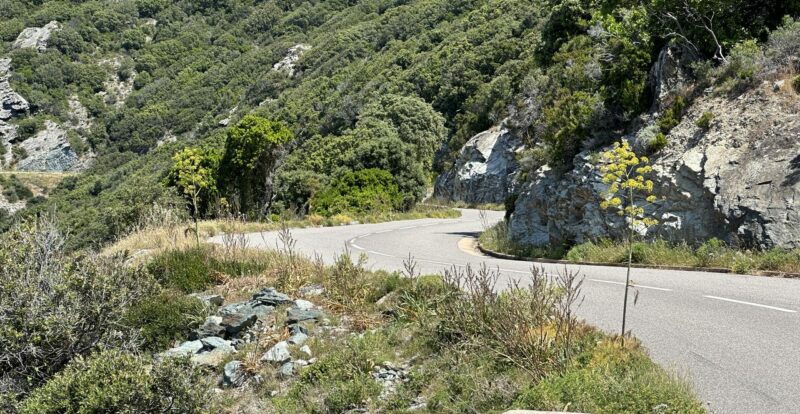Virage en épingle sur une petite route de montagne bordée de maquis corse