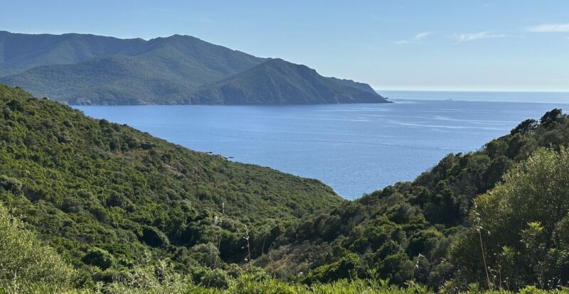 Golfe corse bordé de collines verdoyantes plongeant dans une mer bleue calme