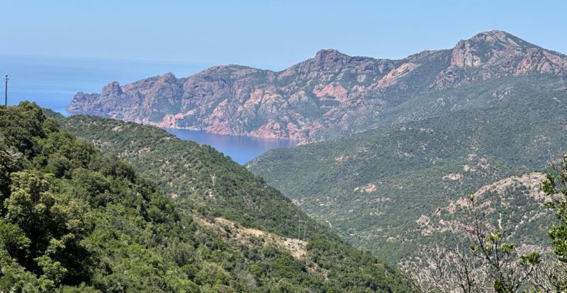 Calanques de roche rouge plongeant dans la mer vues depuis les collines boisées corses
