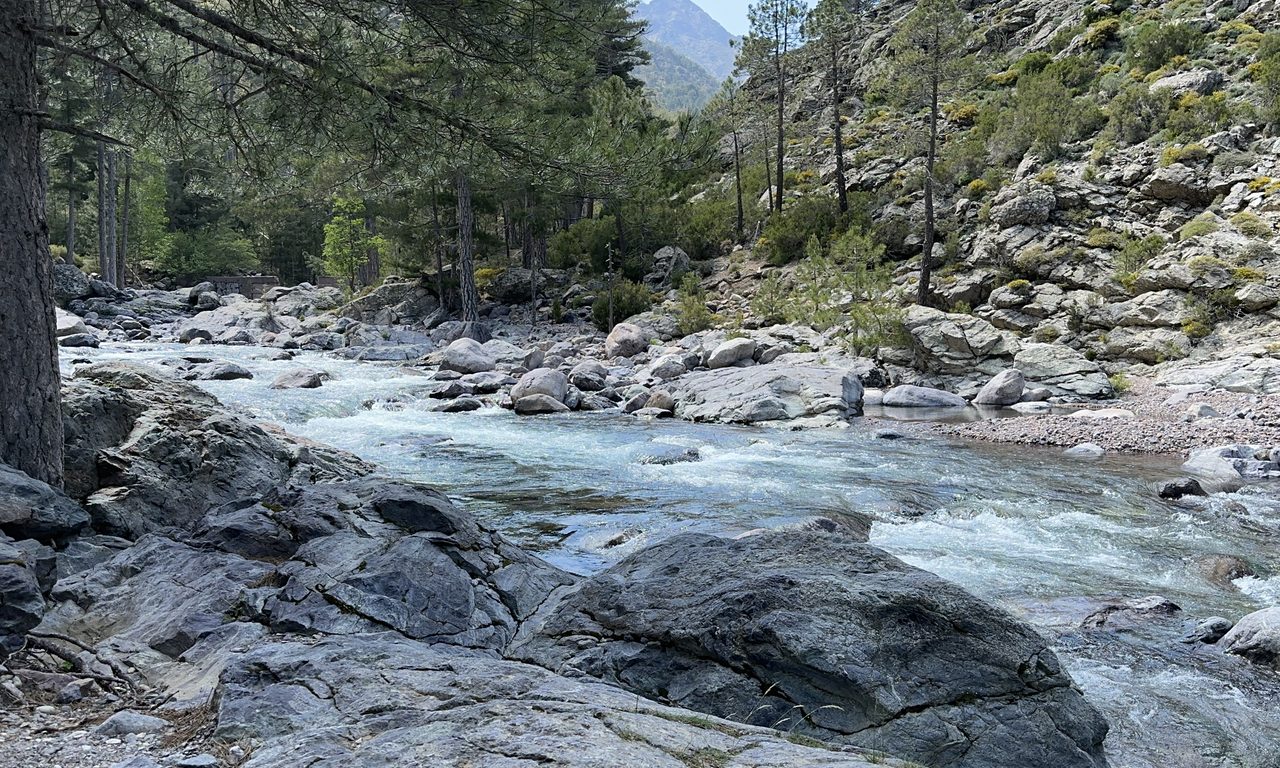 Rivière de montagne corse coulant entre rochers et pins au pied d'un sommet